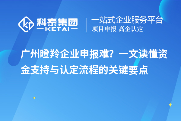 广州瞪羚企业申报难?一文读懂资金支持与认定流程的关键要点