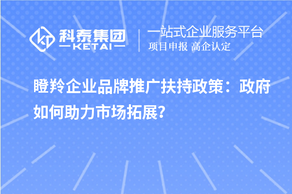 瞪羚企业品牌推广扶持政策：政府如何助力市场拓展？