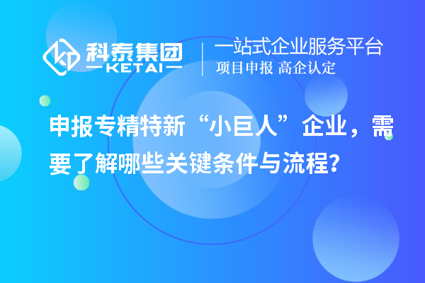 申报专精特新“小巨人”企业,需要了解哪些关键条件与流程?