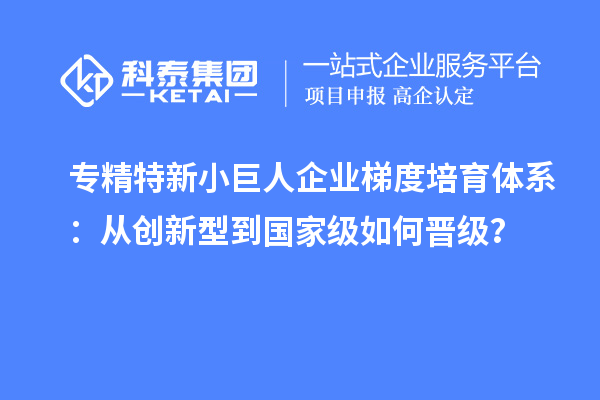 专精特新小巨人企业梯度培育体系:从创新型到国家级如何晋级?