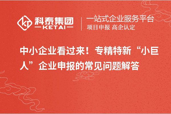 中小企业看过来!专精特新 “小巨人” 企业申报的常见问题解答
