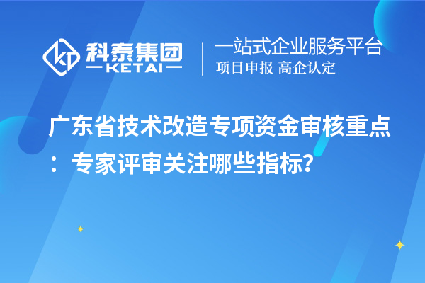 广东省技术改造专项资金审核重点:专家评审关注哪些指标?