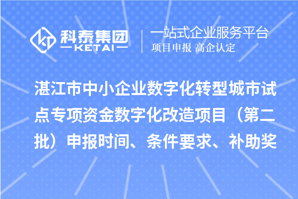 湛江市中小企业数字化转型城市试点专项资金数字化改造项目(第二批)申报时间、条件要求、补助奖励