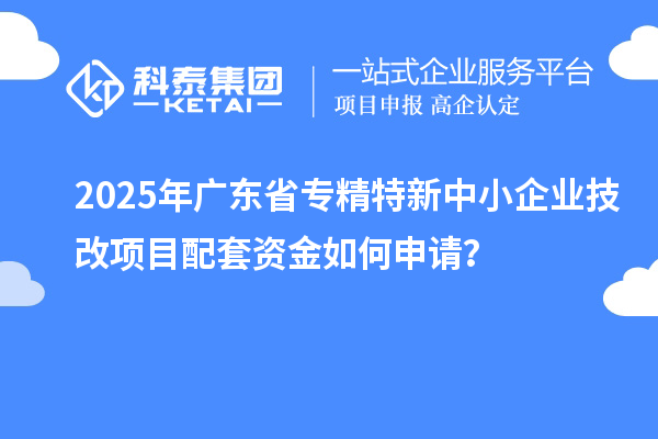 2025年广东省专精特新中小企业技改项目配套资金如何申请?