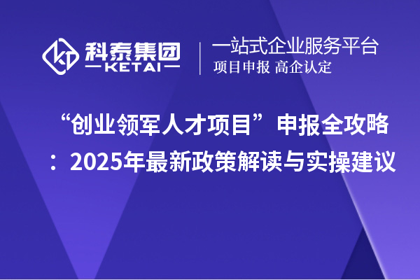 “创业领军人才项目”申报全攻略:2025年最新政策解读与实操建议