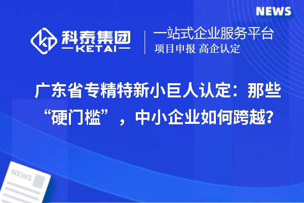 广东省专精特新小巨人认定:那些“硬门槛”,中小企业如何跨越?