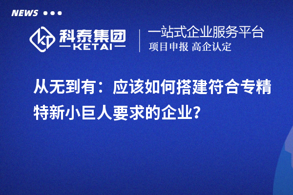 从无到有:应该如何搭建符合专精特新小巨人要求的企业?