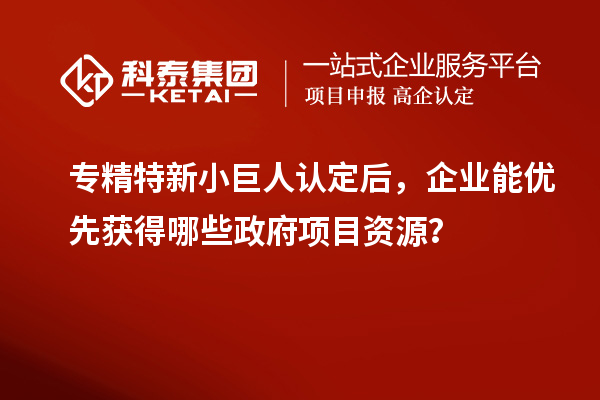 专精特新小巨人认定后,企业能优先获得哪些政府项目资源?