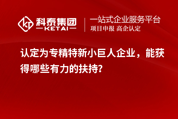认定为专精特新小巨人企业,能获得哪些有力的扶持?