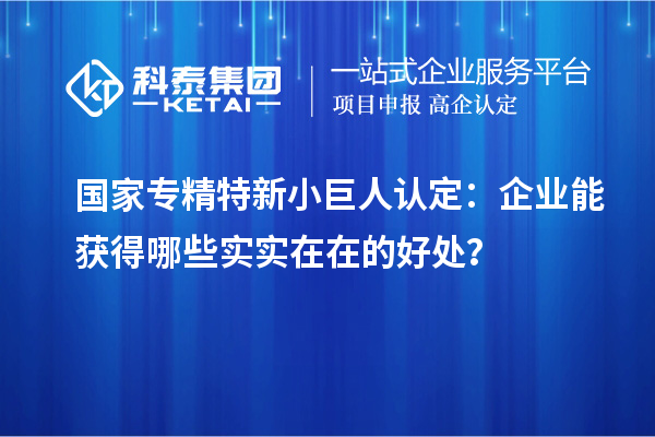 国家专精特新小巨人认定:企业能获得哪些实实在在的好处?