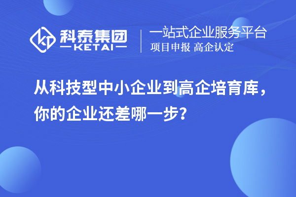 从科技型中小企业到高企培育库,你的企业还差哪一步?