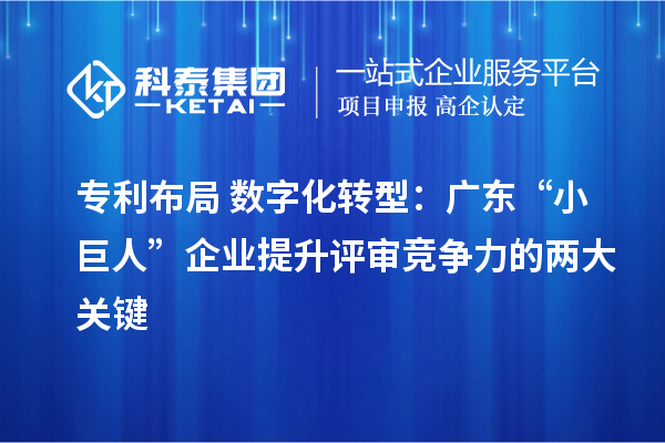 专利布局+数字化转型:广东“小巨人”企业提升评审竞争力的两大关键