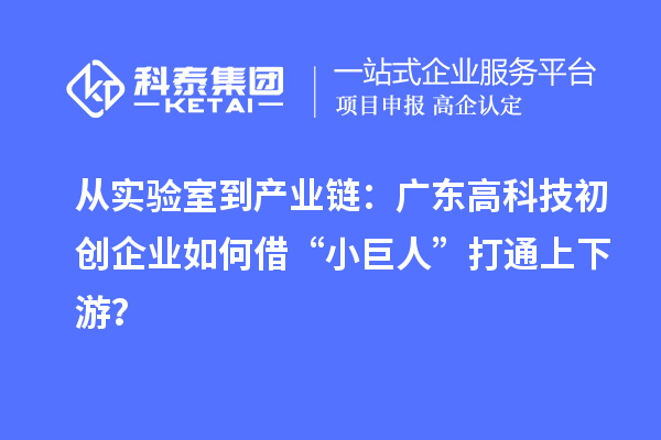 从实验室到产业链:广东高科技初创企业如何借“小巨人”打通上下游?