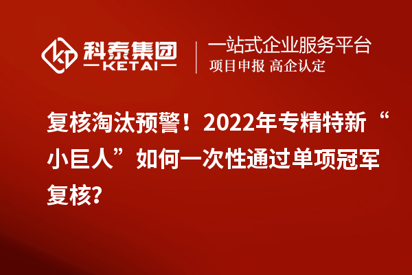 复核淘汰预警!2022年专精特新“小巨人”如何一次性通过单项冠军复核?