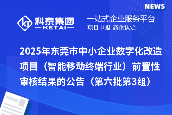 2025年东莞市中小企业数字化改造项目(智能移动终端行业)前置性审核结果的公告(第六批第3组)