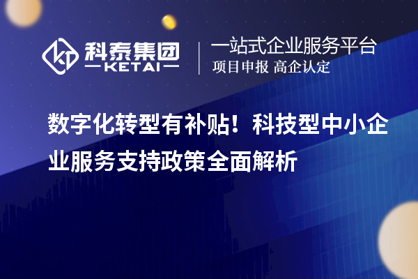 数字化转型有补贴!科技型中小企业服务支持政策全面解析