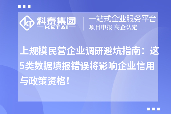 上规模民营企业调研避坑指南:这5类数据填报错误将影响企业信用与政策资格!