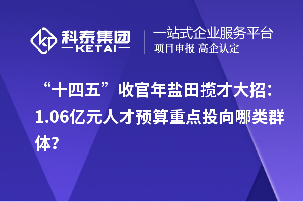 “十四五”收官年盐田揽才大招:1.06亿元人才预算重点投向哪类群体?