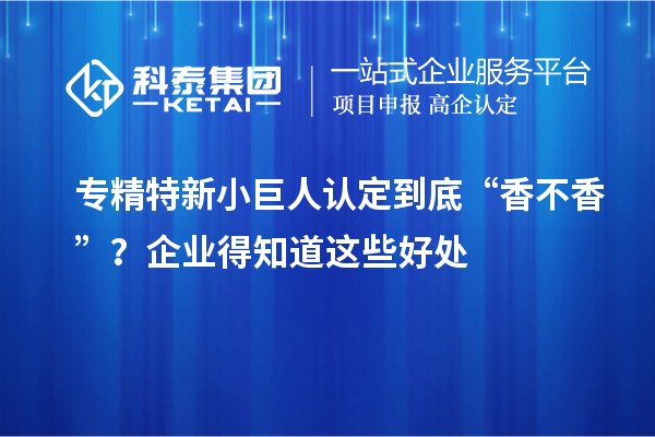 专精特新小巨人认定到底“香不香”?企业得知道这些好处