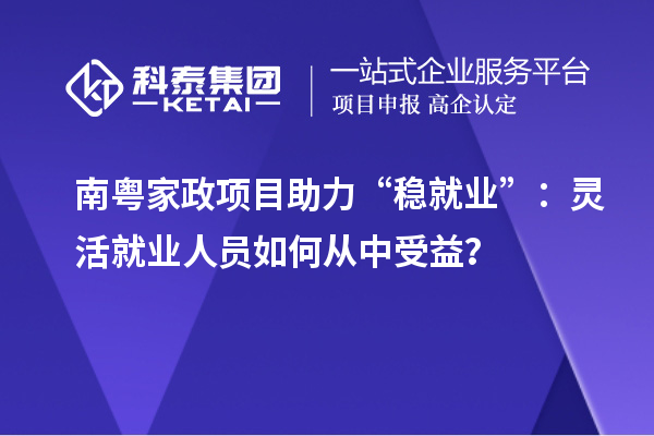 南粤家政项目助力“稳就业”:灵活就业人员如何从中受益?