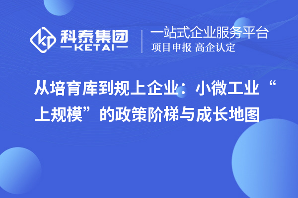 从培育库到规上企业:小微工业“上规模”的政策阶梯与成长地图