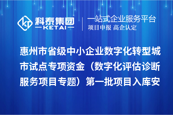 惠州市省级中小企业数字化转型城市试点专项资金(数字化评估诊断服务项目专题)第一批项目入库安排计划的公示
