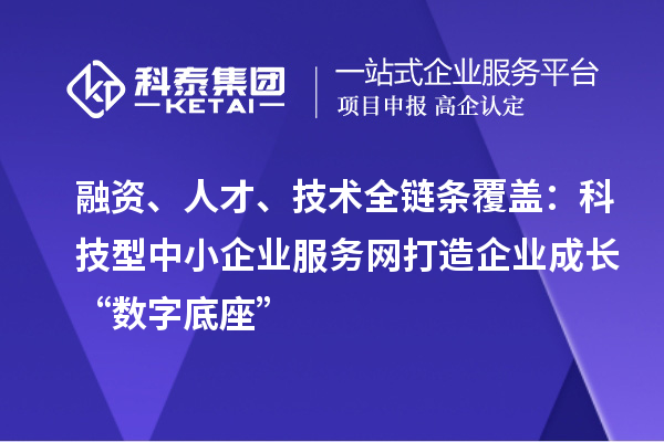 融资、人才、技术全链条覆盖:科技型中小企业服务网打造企业成长“数字底座”