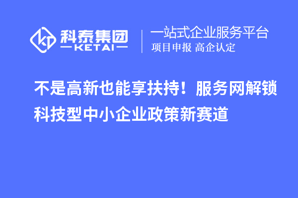 不是高新也能享扶持!服务网解锁科技型中小企业政策新赛道