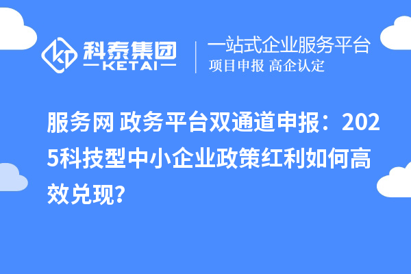 服务网+政务平台双通道申报:2025科技型中小企业政策红利如何高效兑现?