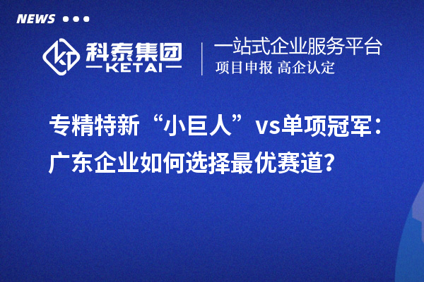 专精特新“小巨人” vs 单项冠军:广东企业如何选择最优赛道?