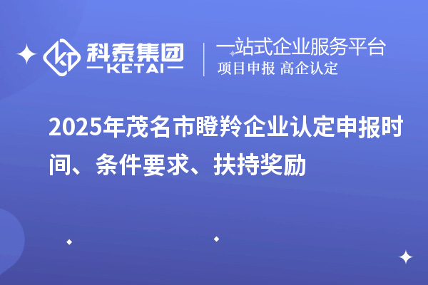 2025年茂名市瞪羚企业认定申报时间、条件要求、扶持奖励