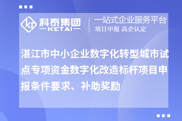 湛江市中小企业数字化转型城市试点专项资金数字化改造标杆<a href=//jiuyouhuitech.com/shenbao.html target=_blank class=infotextkey>项目申报</a>条件要求、补助奖励