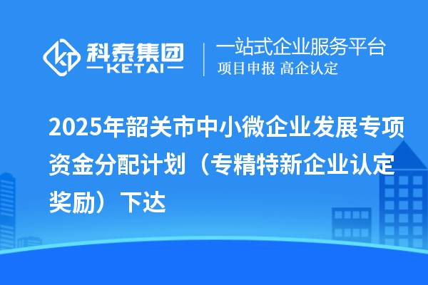 2025年韶关市中小微企业发展专项资金分配计划(专精特新企业认定奖励)下达