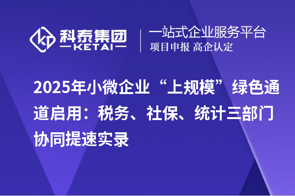 2025年小微企业“上规模”绿色通道启用:税务、社保、统计三部门协同提速实录