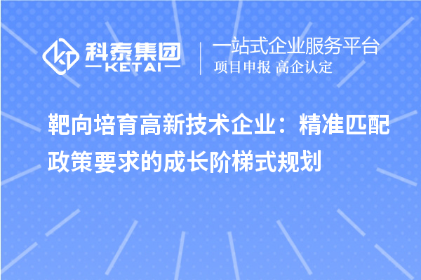 靶向培育高新技术企业:精准匹配政策要求的成长阶梯式规划