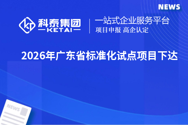 2026年广东省标准化试点项目下达