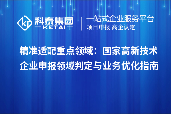 精准适配重点领域:国家高新技术企业申报领域判定与业务优化指南