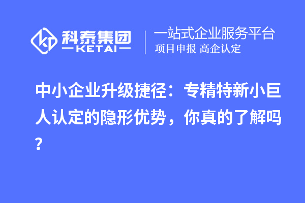 中小企业升级捷径:专精特新小巨人认定的隐形优势,你真的了解吗?
