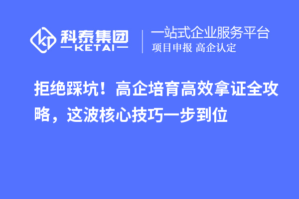 拒绝踩坑!高企培育高效拿证全攻略,这波核心技巧一步到位