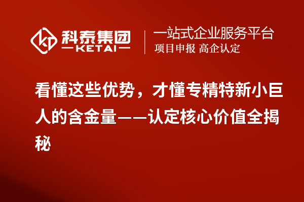 看懂这些优势,才懂专精特新小巨人的含金量——认定核心价值全揭秘