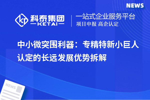 中小微突围利器:专精特新小巨人认定的长远发展优势拆解