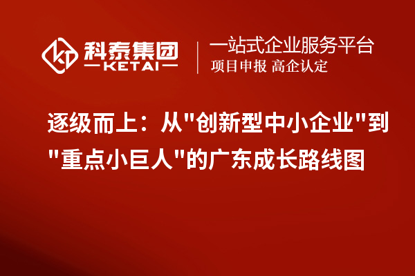 逐级而上:从创新型中小企业到重点小巨人的广东成长路线图