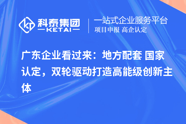 广东企业看过来:地方配套+国家认定,双轮驱动打造高能级创新主体
