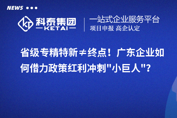省级专精特新≠终点!广东企业如何借力政策红利冲刺小巨人?
