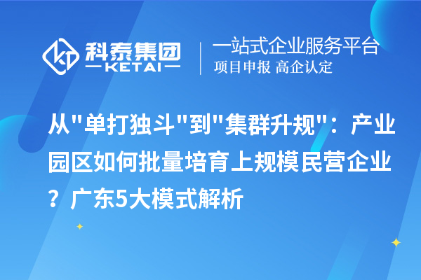 从单打独斗到集群升规:产业园区如何批量培育上规模民营企业?广东5大模式解析