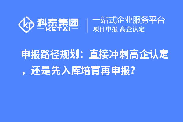 申报路径规划:直接冲刺高企认定,还是先入库培育再申报?