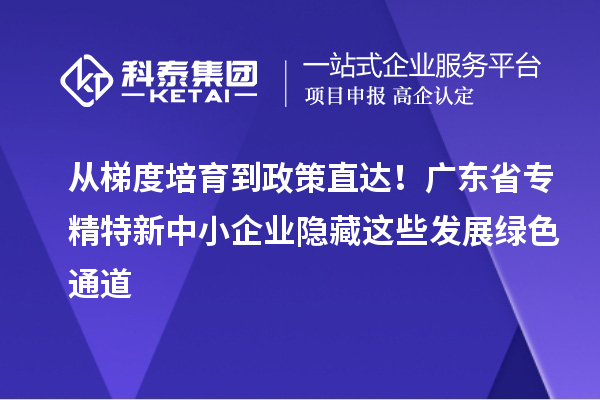 从梯度培育到政策直达!广东省专精特新中小企业隐藏这些发展绿色通道