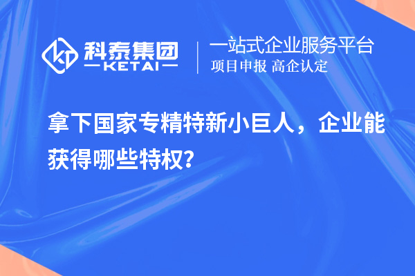 拿下国家专精特新小巨人,企业能获得哪些特权?