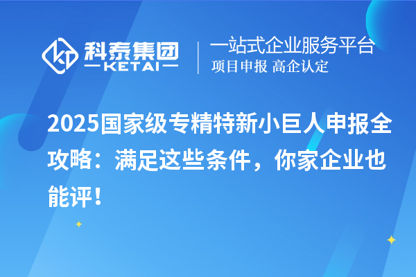 2025国家级专精特新小巨人申报全攻略:满足这些条件,你家企业也能评!