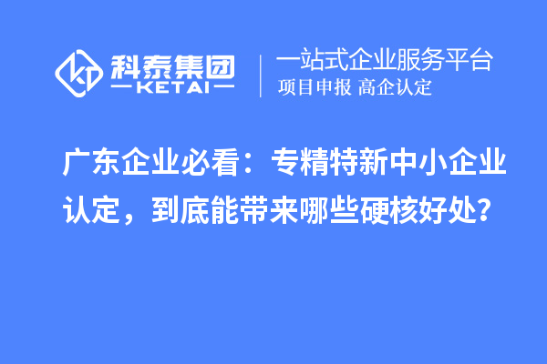 广东企业必看:专精特新中小企业认定,到底能带来哪些硬核好处?